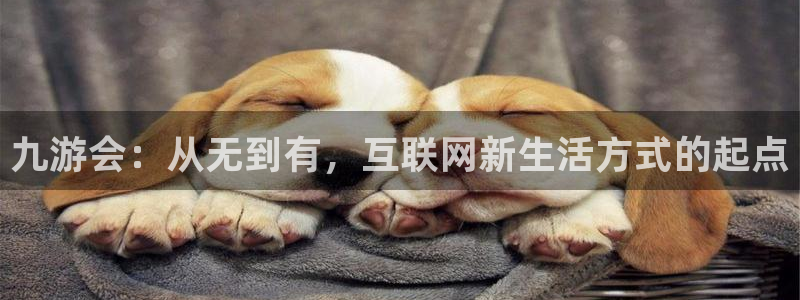 伟德国际公司：九游会：从无到有，互联网新生活方式的起点