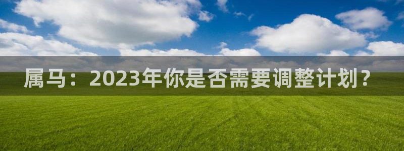 伟德app下载官网：属马：2023年你是否需要调整计划？