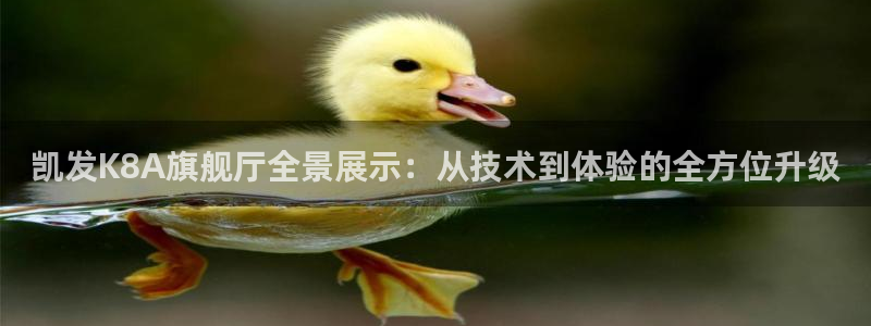 伟德app下载安卓版：凯发K8A旗舰厅全景展示：从技术到体验的全方位升级