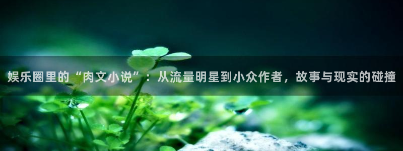 伟德app官网下载：娱乐圈里的“肉文小说”：从流量明星到小众作者，故事与现实的碰撞