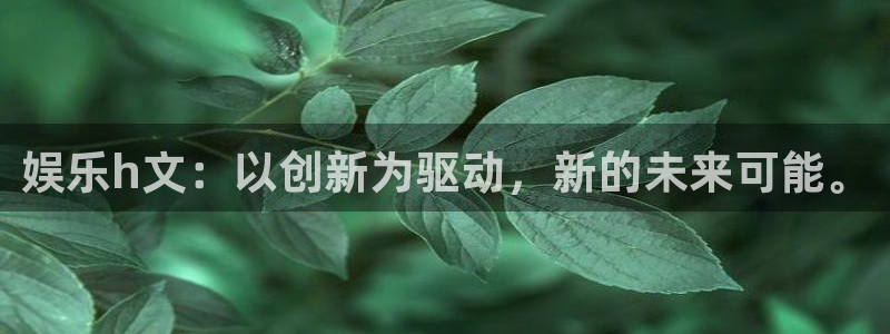 伟德国际官网：娱乐h文：以创新为驱动，新的未来可能。