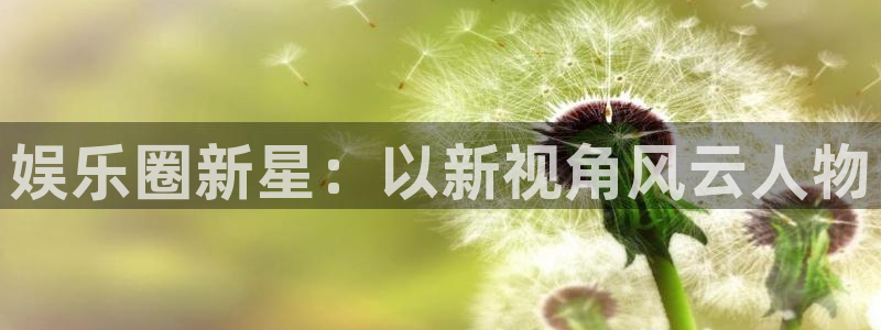 伟德国际1946 app：娱乐圈新星：以新视角风云人物