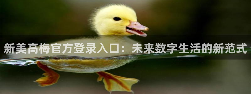 伟德国际吧：新美高梅官方登录入口：未来数字生活的新范式