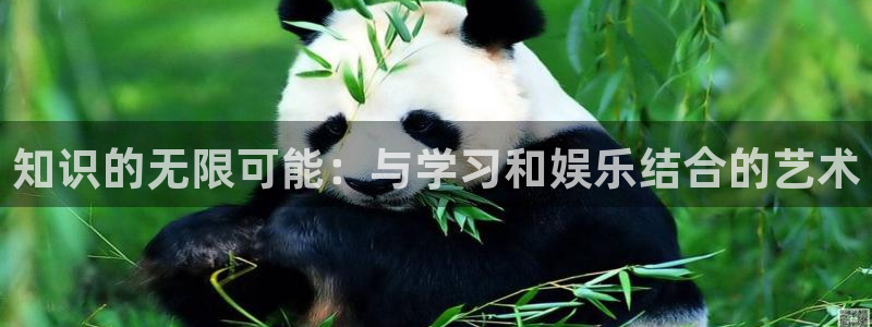 伟德国际app下载安装：知识的无限可能：与学习和娱乐结合的艺术