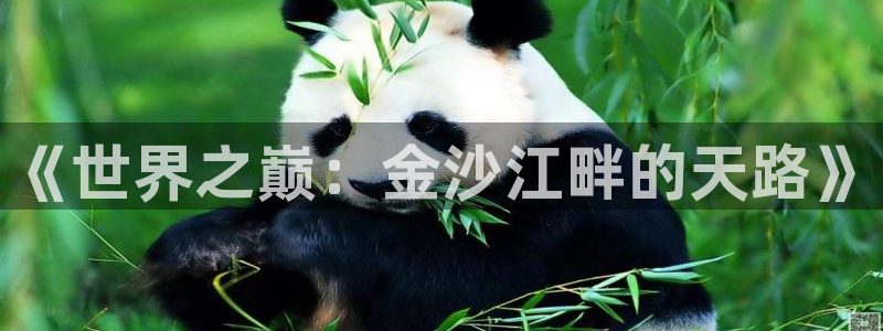 伟德国际app：《世界之巅：金沙江畔的天路》