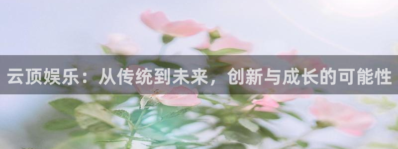伟德国际app苹果版下载：云顶娱乐：从传统到未来，创新与成长的可能性