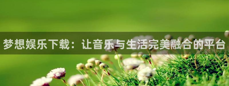 伟德app下载安卓版：梦想娱乐下载：让音乐与生活完美融合的平台