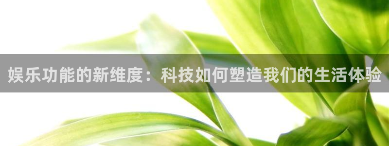 bevitor·伟德国际：娱乐功能的新维度：科技如何塑造我们的生活体验