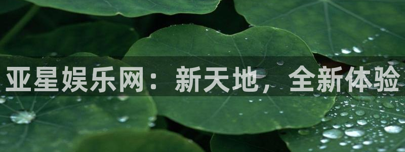 伟德国际官网：亚星娱乐网：新天地，全新体验
