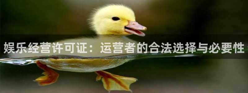 伟德国际1946官网：娱乐经营许可证：运营者的合法选择与必要性