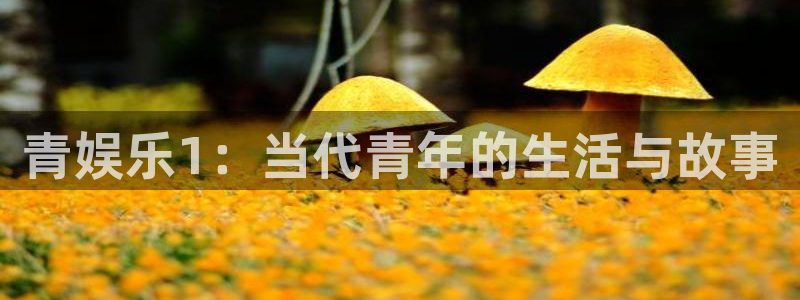 伟德国际公司：青娱乐1：当代青年的生活与故事