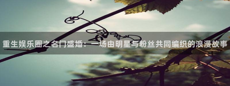 伟德国际app安卓版：重生娱乐圈之名门盛婚：一场由明星与粉丝共同编织的浪漫故事