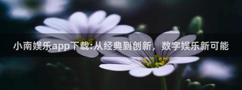 伟德国际公司：小南娱乐app下载:从经典到创新，数字娱乐新可能