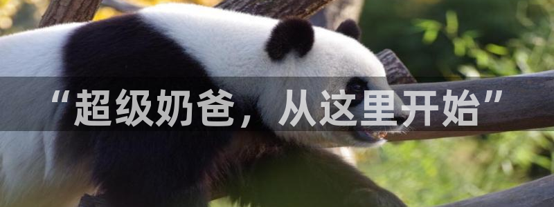 伟德国际app：“超级奶爸，从这里开始”