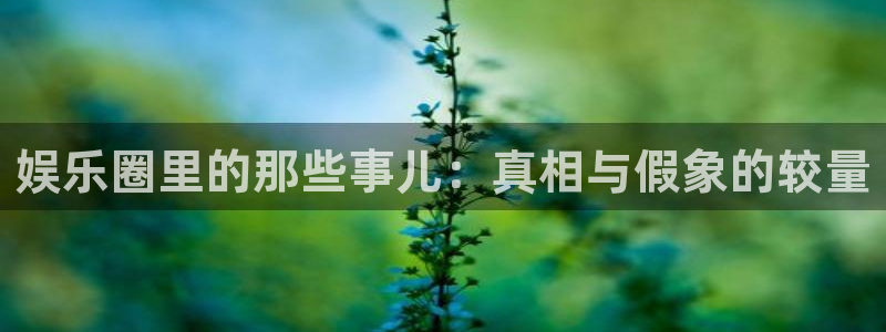 伟德国际betvlctor：娱乐圈里的那些事儿：真相与假象的较量