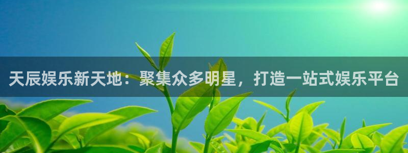 伟德app下载官网：天辰娱乐新天地：聚集众多明星，打造一站式娱乐平台