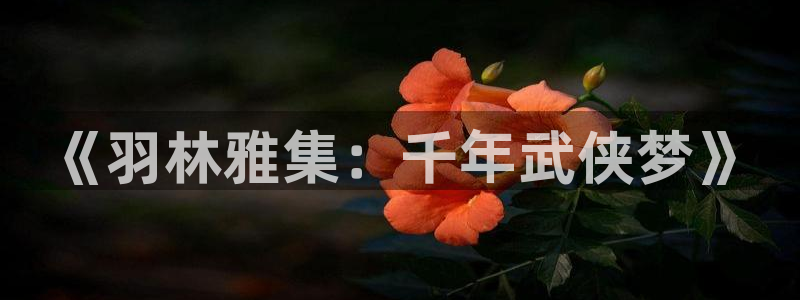 伟德国际betvlctor：《羽林雅集：千年武侠梦》