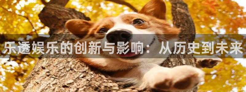 betvlctor伟德国际网页版