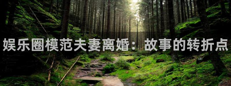 伟德国际1946 app：娱乐圈模范夫妻离婚：故事的转折点