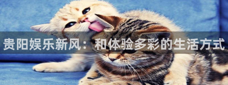 betvlctor伟德国际网页版：贵阳娱乐新风：和体验多彩的生活方式