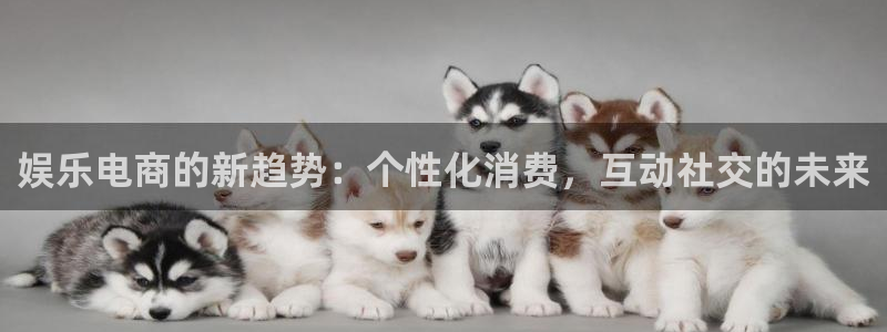 伟德国际公司：娱乐电商的新趋势：个性化消费，互动社交的未来