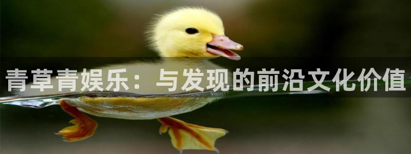 伟德国际吧：青草青娱乐：与发现的前沿文化价值