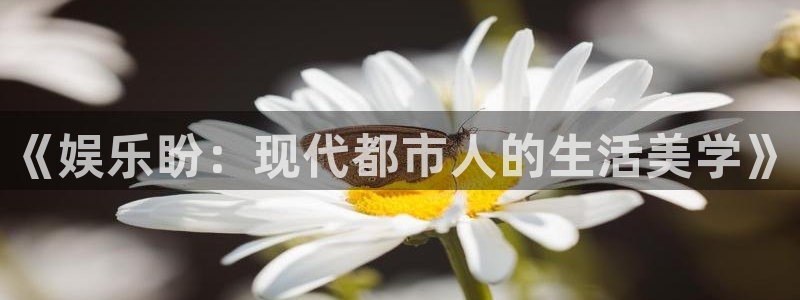 伟德国际中文：《娱乐盼：现代都市人的生活美学》