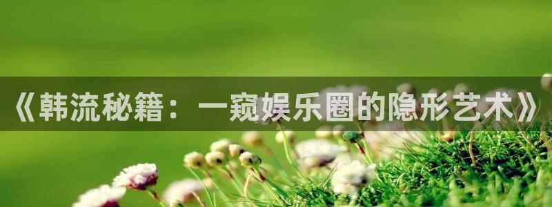 伟德国际mobi：《韩流秘籍：一窥娱乐圈的隐形艺术》