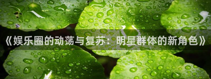 伟德国际1949：《娱乐圈的动荡与复苏：明星群体的新角色》