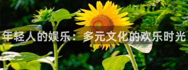 伟德app下载官网：年轻人的娱乐：多元文化的欢乐时光