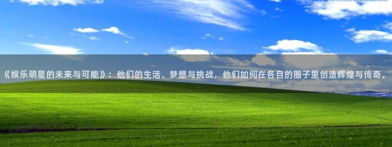 伟德国际官网_伟德国际平台：《娱乐明星的未来与可能》：他们的生活、梦想与挑战，他们如何在各自的圈子里创造辉煌与传奇。